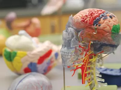 Medical Courses Online at Oregon Tech