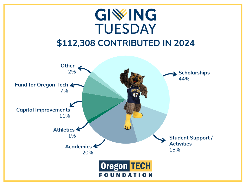 Pie Chart for Giving Tuesday