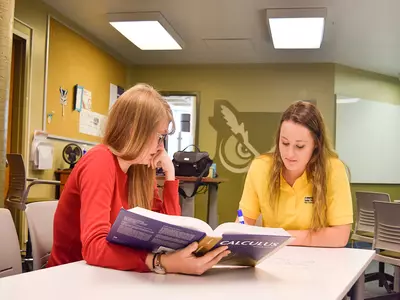 Meet your Admissions Counselor